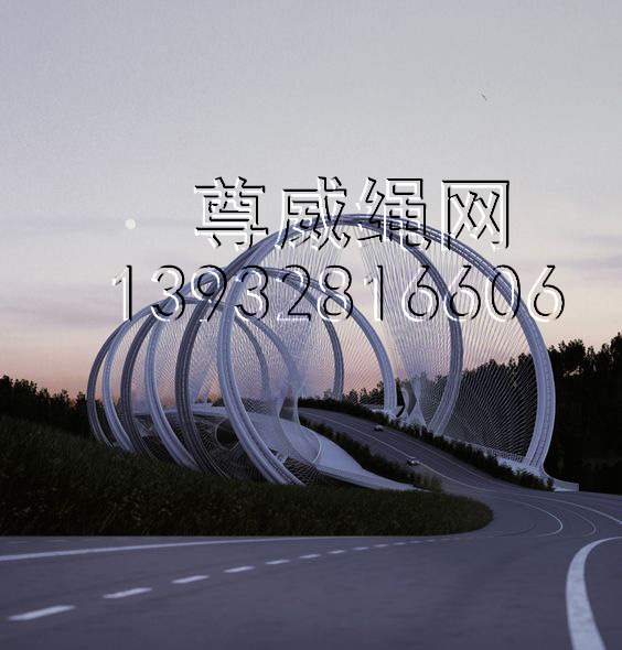 橋梁防護(hù)繩網(wǎng)