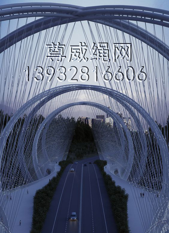 橋梁防護(hù)繩網(wǎng)