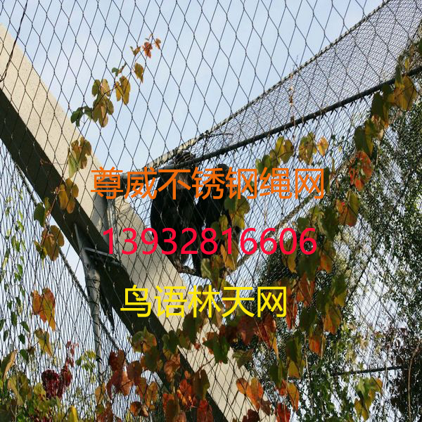 鳥語林網(wǎng)
